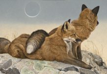 New Wildlife Art at the 34th Annual “Western Visions” Show Western art paintings of wildlife