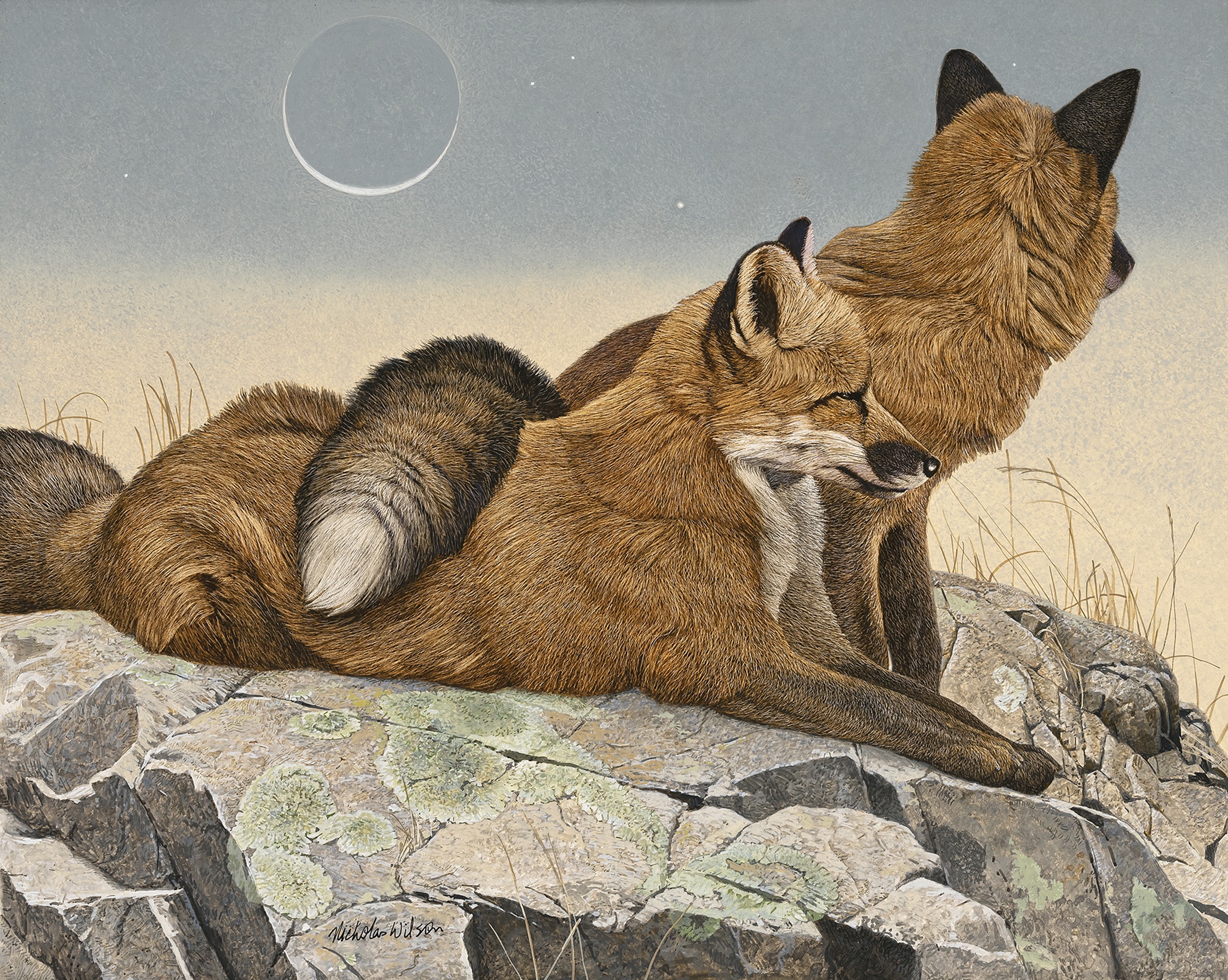 New Wildlife Art at the 34th Annual "Western Visions" Show Fine Art