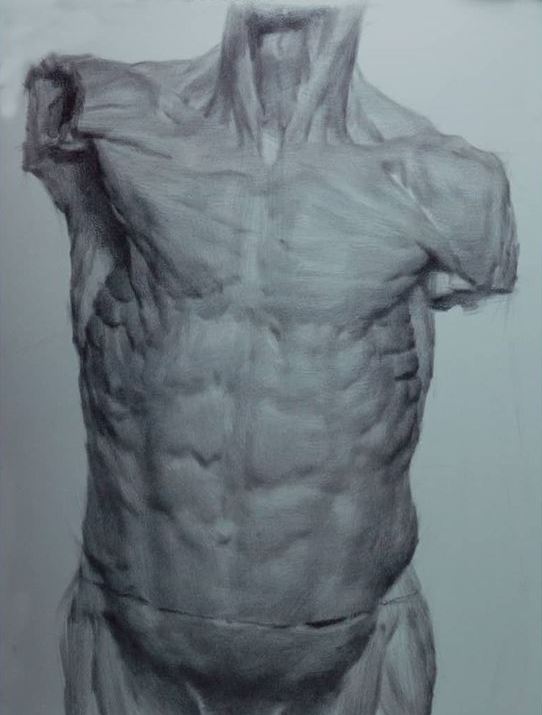 Graphite pencil drawing of a torso, by Dan Thompson