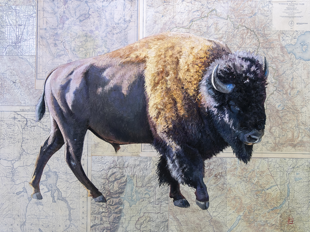 Pastel painting of a bison on a state and national park map