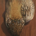 Featured Artwork: Beverly Ford Evans Oil painting of a pheasant hanging on a wall