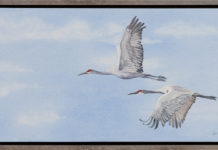 Featured Artwork: Heidi Rosner presented by Celebration of Fine Art in Scottsdale, AZ Watercolor painting of two geese flying