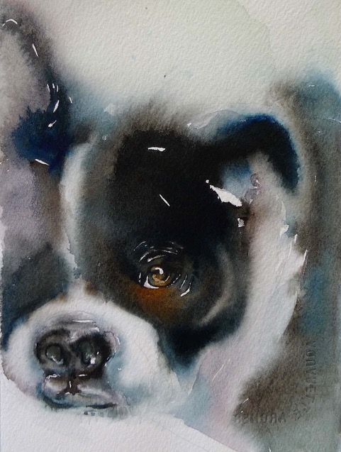 Dog portraits - Carol Carter, "Boston Terrier," Watercolor, 7 x 5 inches