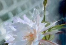 Fascinating Florals: 17 Paintings of Flowers Paintings of flowers - LINDA NEARON (b. 1942), "Burst of Beauty," 2014, oil on canvas, 20 x 16 in., private collection