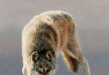 14 Fabulous Artworks of the Animal Kingdom Wildlife paintings