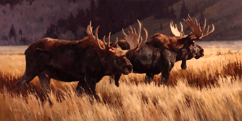 Wildlife paintings of moose