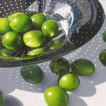 Featured Artwork Jenny Stewart presented by the Celebration of Fine Art in Scottsdale, AZ Oil Painting of limes in a strainer