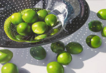 Featured Artwork Jenny Stewart presented by the Celebration of Fine Art in Scottsdale, AZ Oil Painting of limes in a strainer