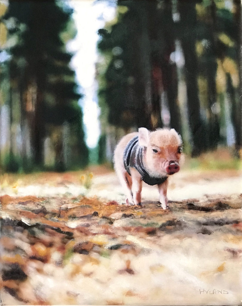 Paintings of pigs