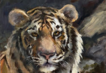 Featured Artwork: Johanne Mangi
