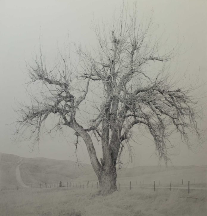 realism landscape painting - fine art collecting
