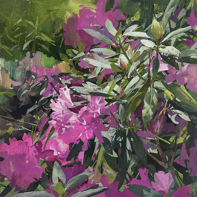 "May Rhododendron" by Christina Weaver