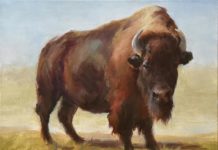 Featured Artwork: Johanne Mangi oil painting of single buffalo in a field during the day