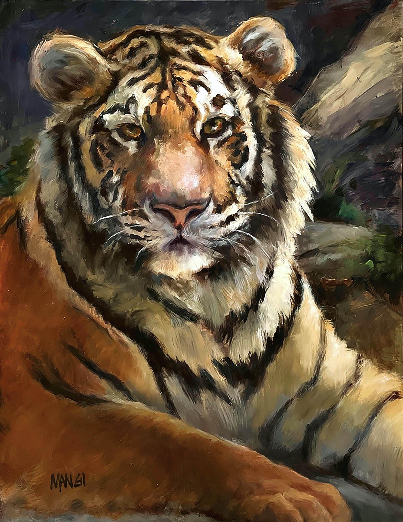 oil painting of tiger portrait looking at the viewer; laying down