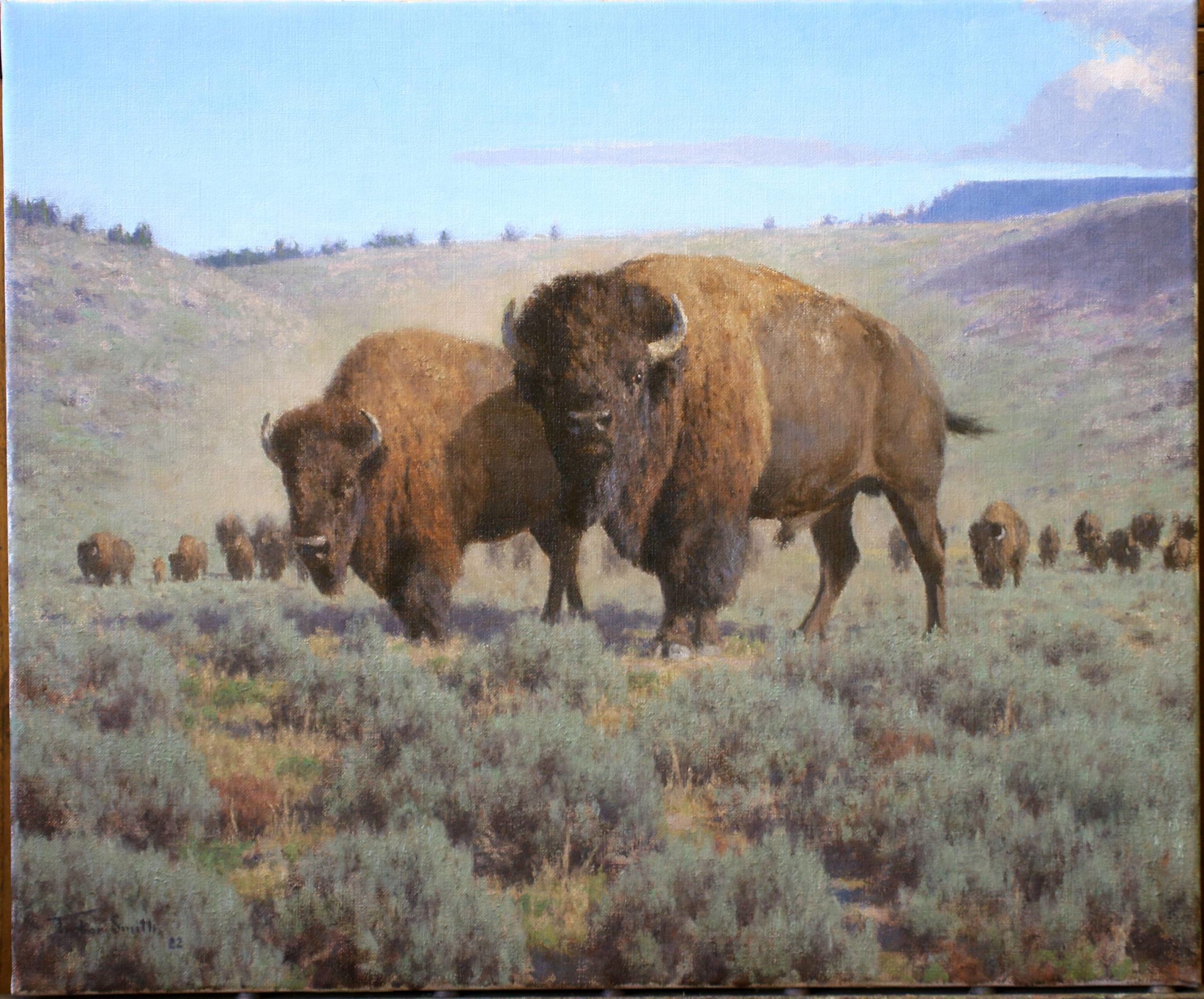 Western Art - “Wyoming Buffalo” by Tucker Smith