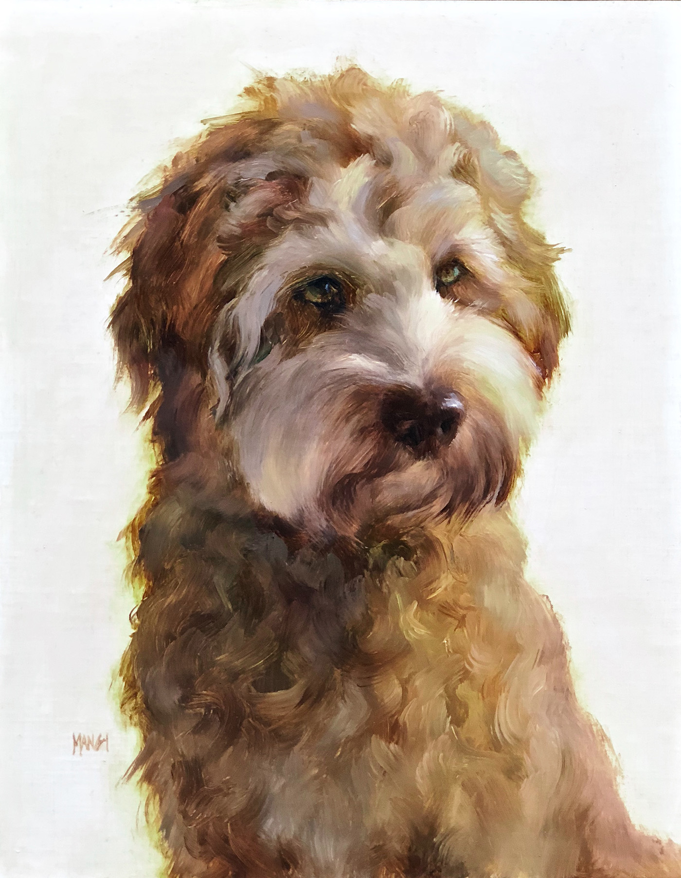 oil painting of a golden, curly dog with a white face