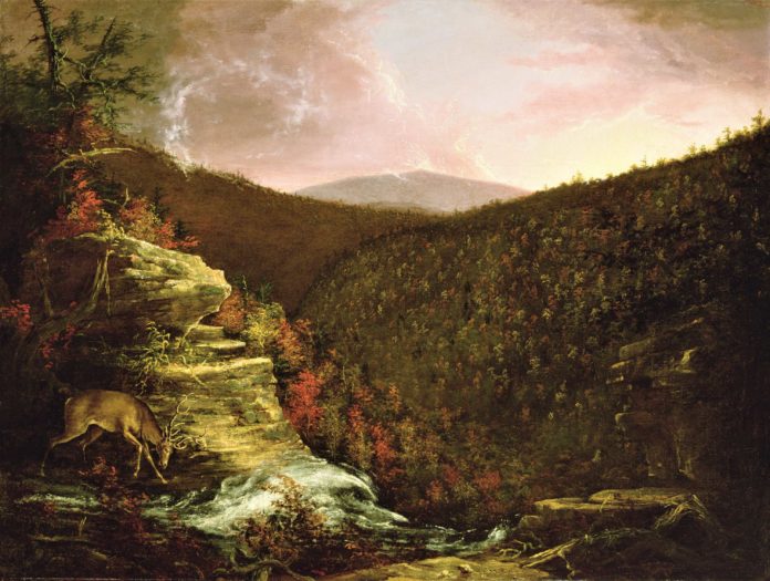 From the Top of Kaaterskill Falls