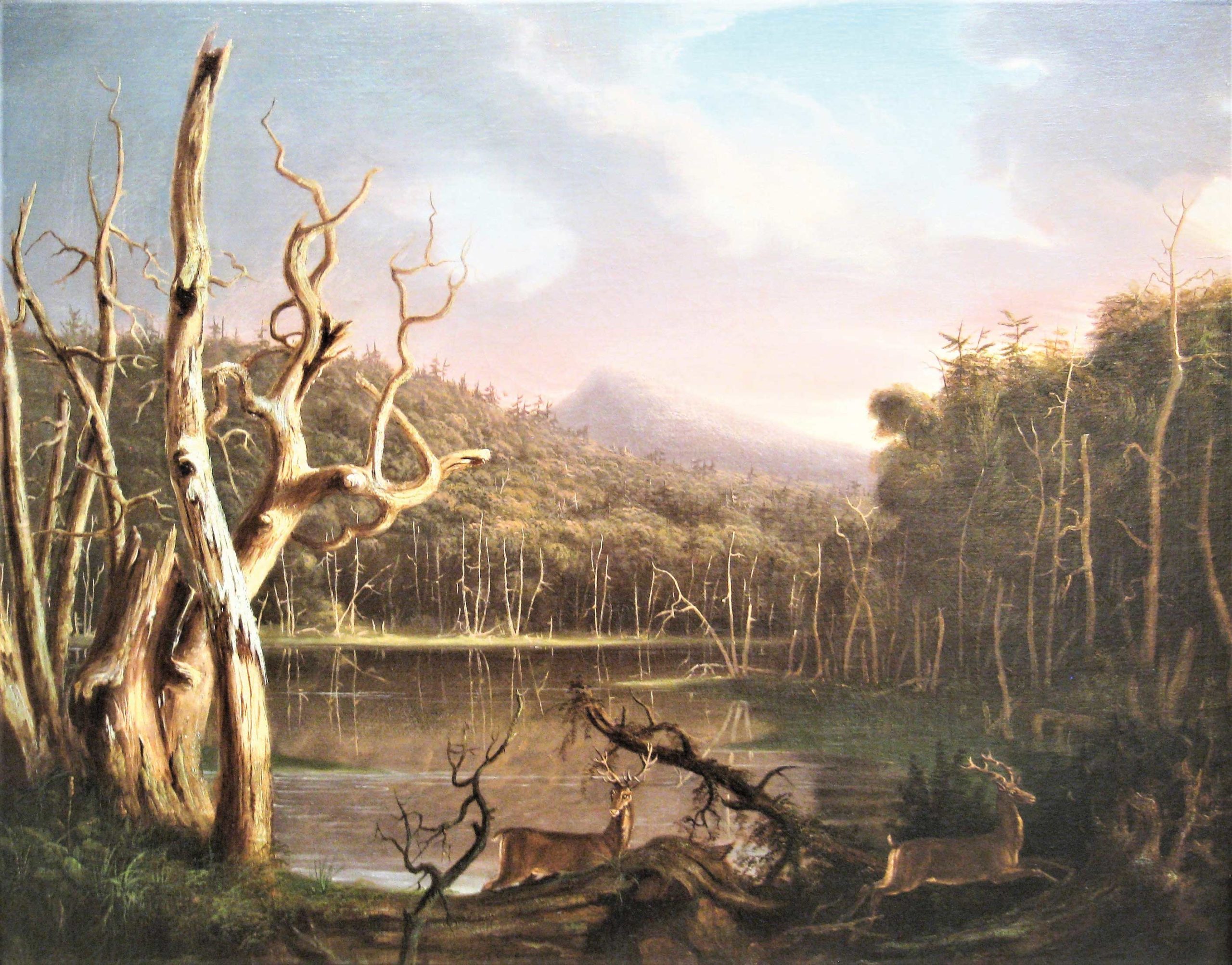 Lake with Dead Trees