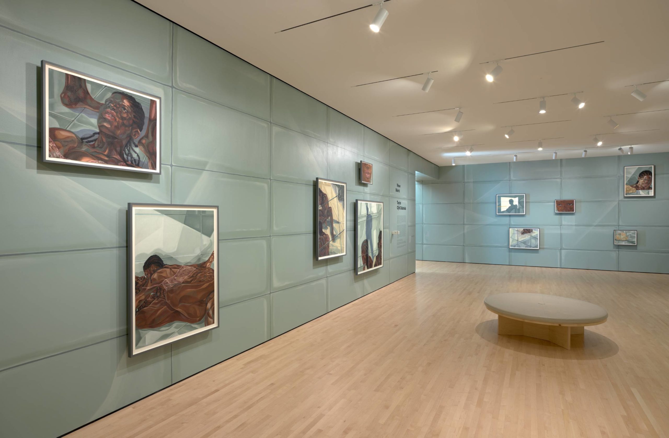 View of "New Work: Toyin Ojih Odutola" San Francisco Museum of Modern Art