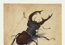Rijksmuseum Invaded by Creatures painting of a beetle