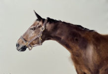 Winners Chosen for NWWS 82nd International Open Exhibition watercolor painting of a horse