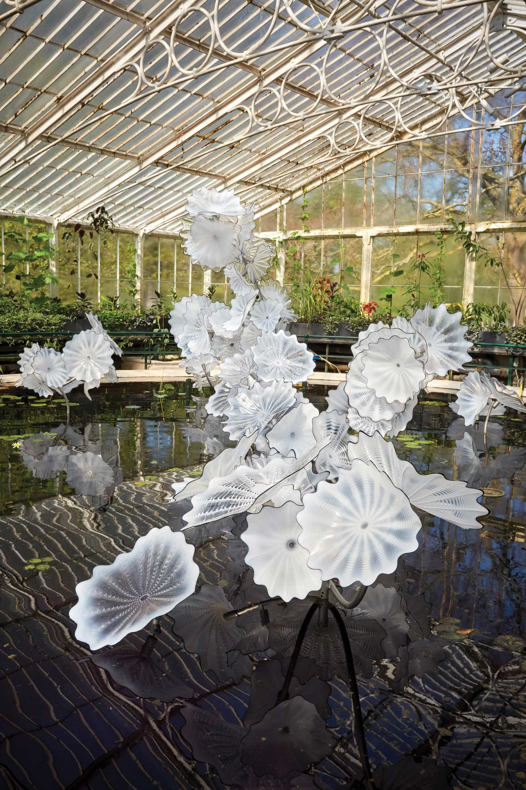 Ethereal White Persian Pond, 2018, Royal Botanic Gardens, Kew, London, installed 2019, photo: Scott Mitchell Leen © Chihuly Studio; all rights reserved