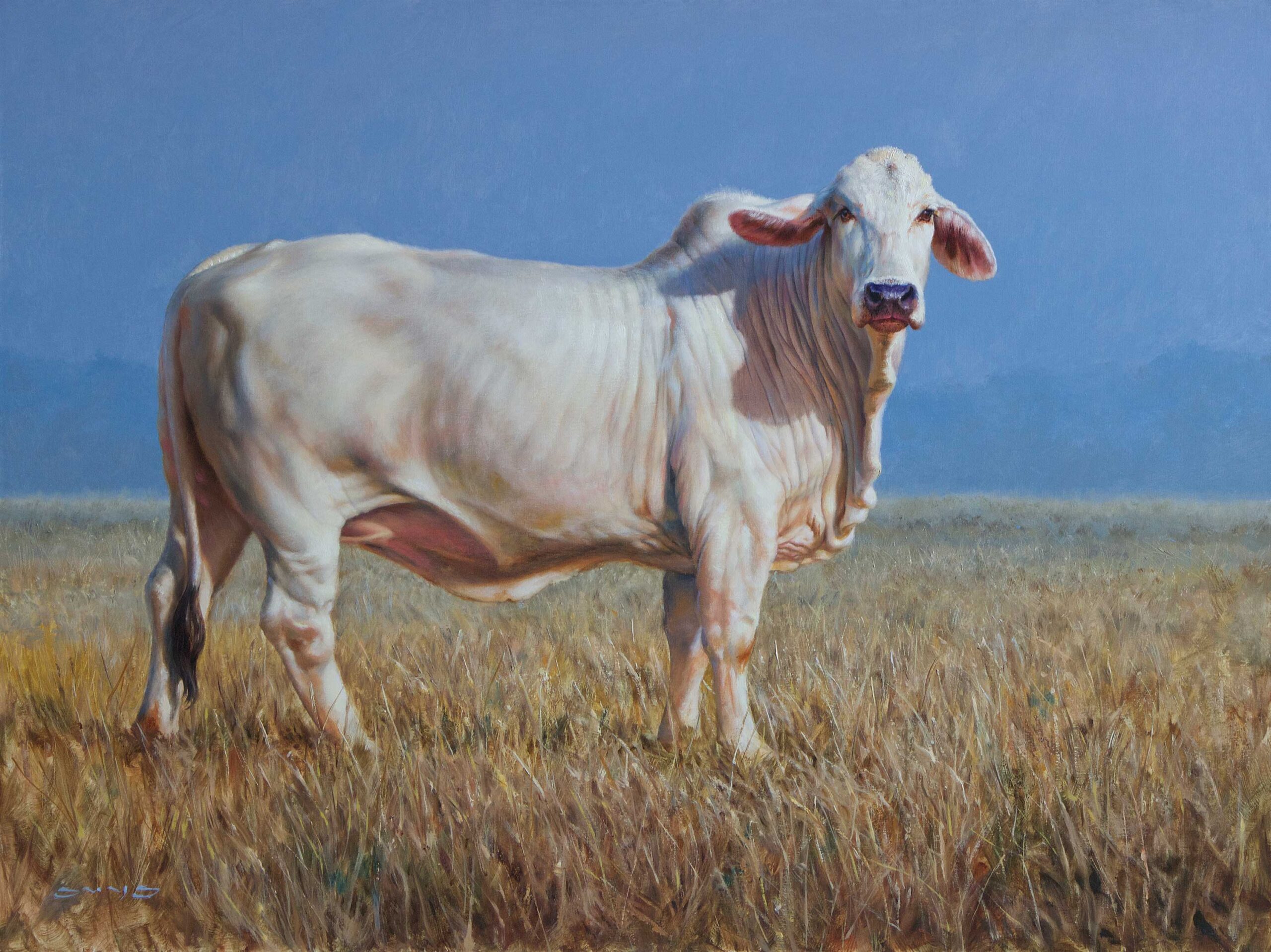 William Suys, “Morning Mist,” 36 x 48 in. - painting of a white cow