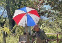 Artist Spotlight: George Van Hook George actively painting en plein air