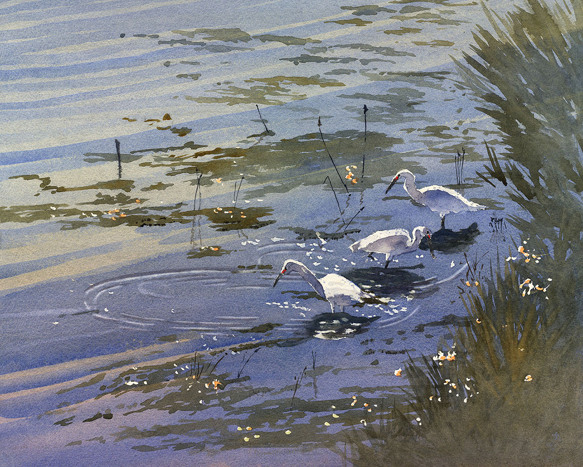 watercolor painting of closeup of tide coming into shore with cranes in the water