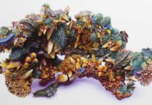 A Living Curiosity Chamber Michael Weiss (b. 1991), "Specimen I," 2020, acrylic on panel, 12 x 16 in., available through the artist