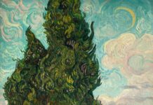 Explore Van Gogh’s Cypresses Vincent van Gogh, "Cypresses," June 1889, Oil on canvas, 36 3/4 x 29 1/8 in. (93.4 x 74 cm), The Metropolitan Museum of Art, New York, Rogers Fund, 1949 (49.30)