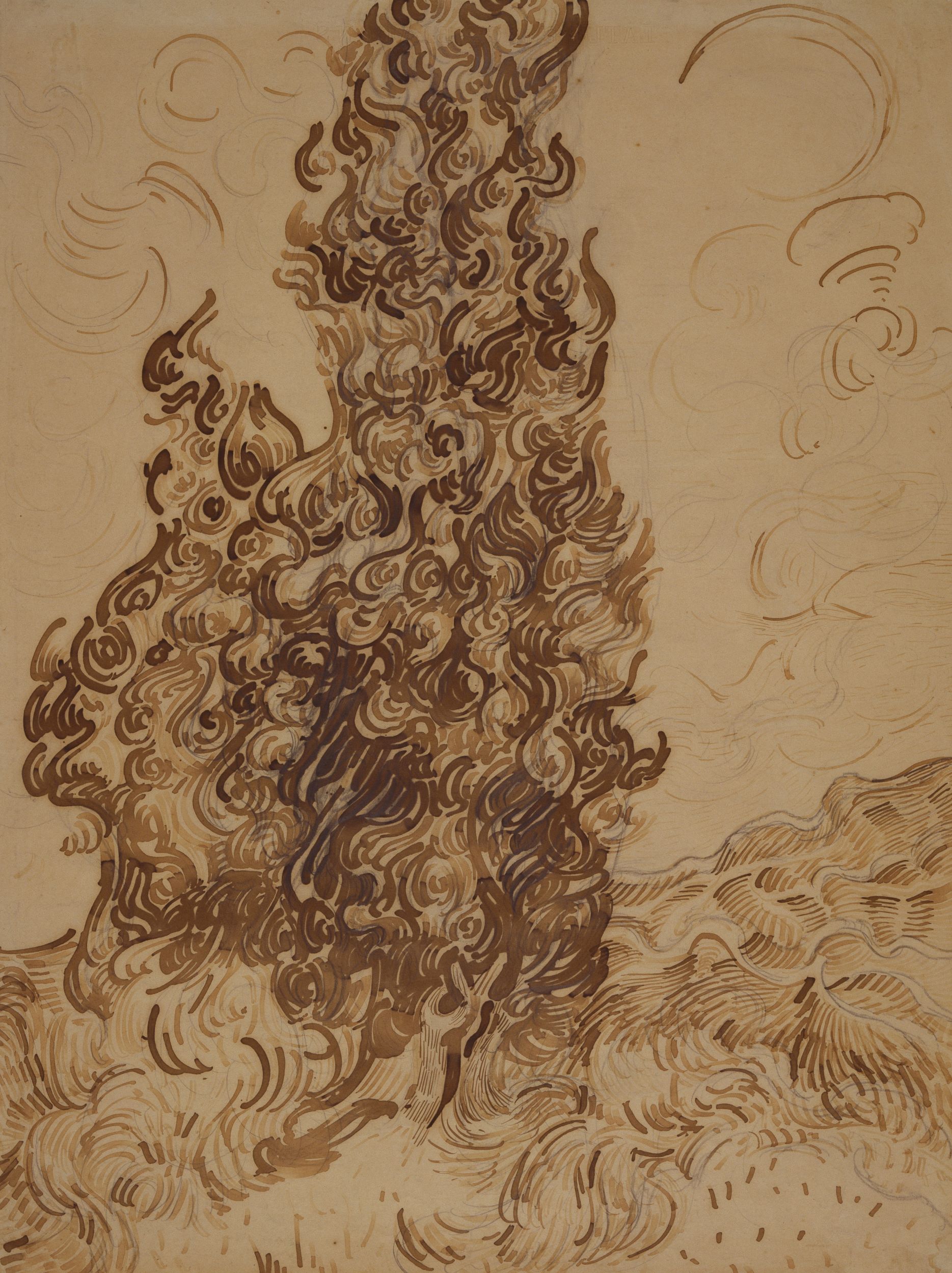Vincent van Gogh, "Cypresses," June 1889, Brown ink and graphite on wove Latune et Cie Balcons paper 24 3/8 x 18 5/8 in. (61.9 x 47.3 cm), Brooklyn Museum, Frank L. Babbott Fund and A. Augustus Healy Fund (38.123), Photo: Courtesy Brooklyn Museum