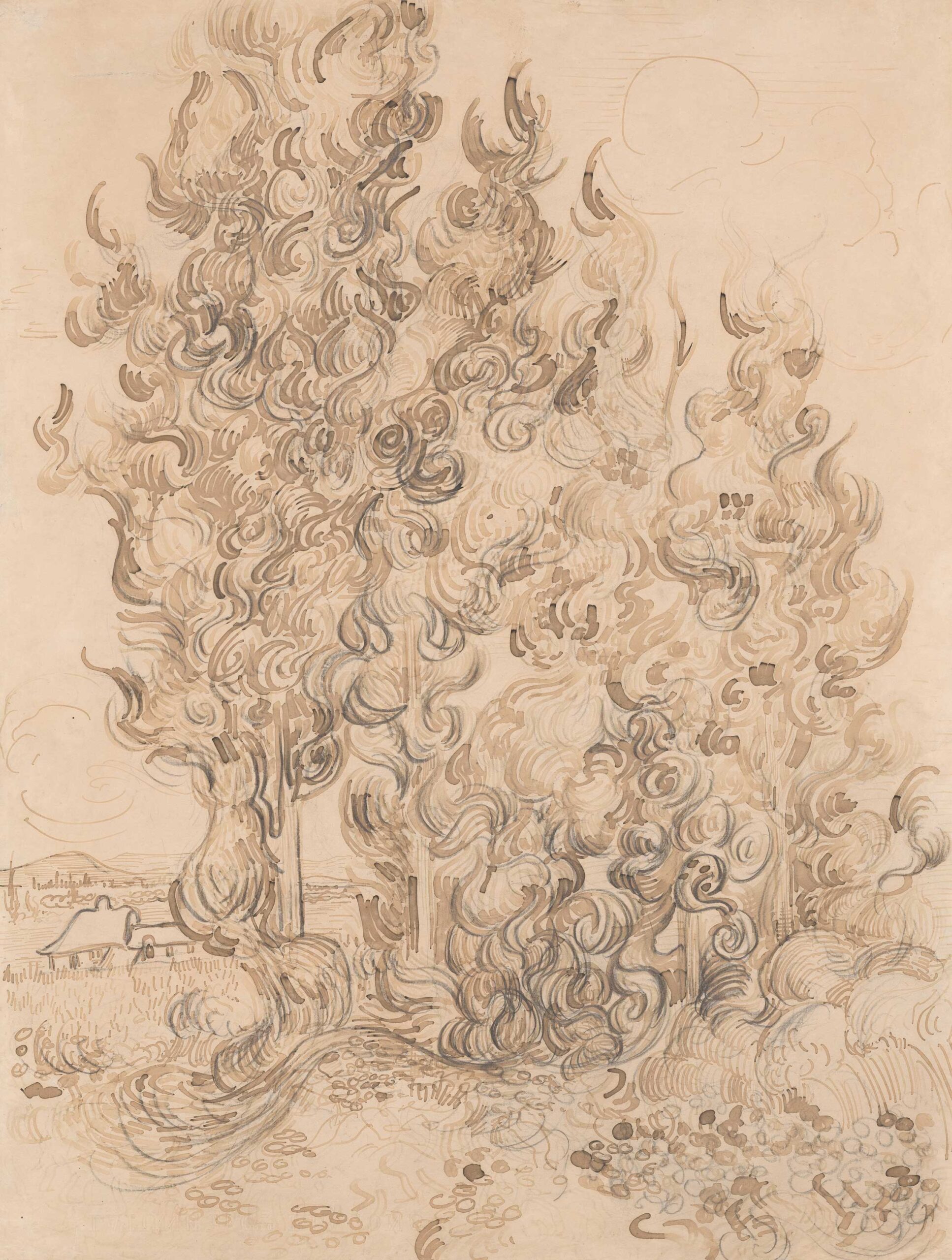 Vincent van Gogh, "Cypresses," June 1889, Pen and reed pen and inks and graphite on wove paper, 24 5/8 x 18 1/4 in. (62.5 x 46.4 cm), The Art Institute of Chicago, Gift of Robert Allerton (1927.543) Photo: The Art Institute of Chicago / Art Resource, NY