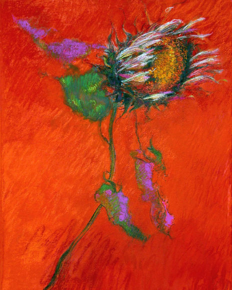 Jimmy Wright, "Sunflower on Crimson No. 1," 2008, Pastel on paper, 29 x 22 1/2 inches