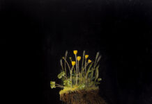 Featured Artwork: Peter Swift