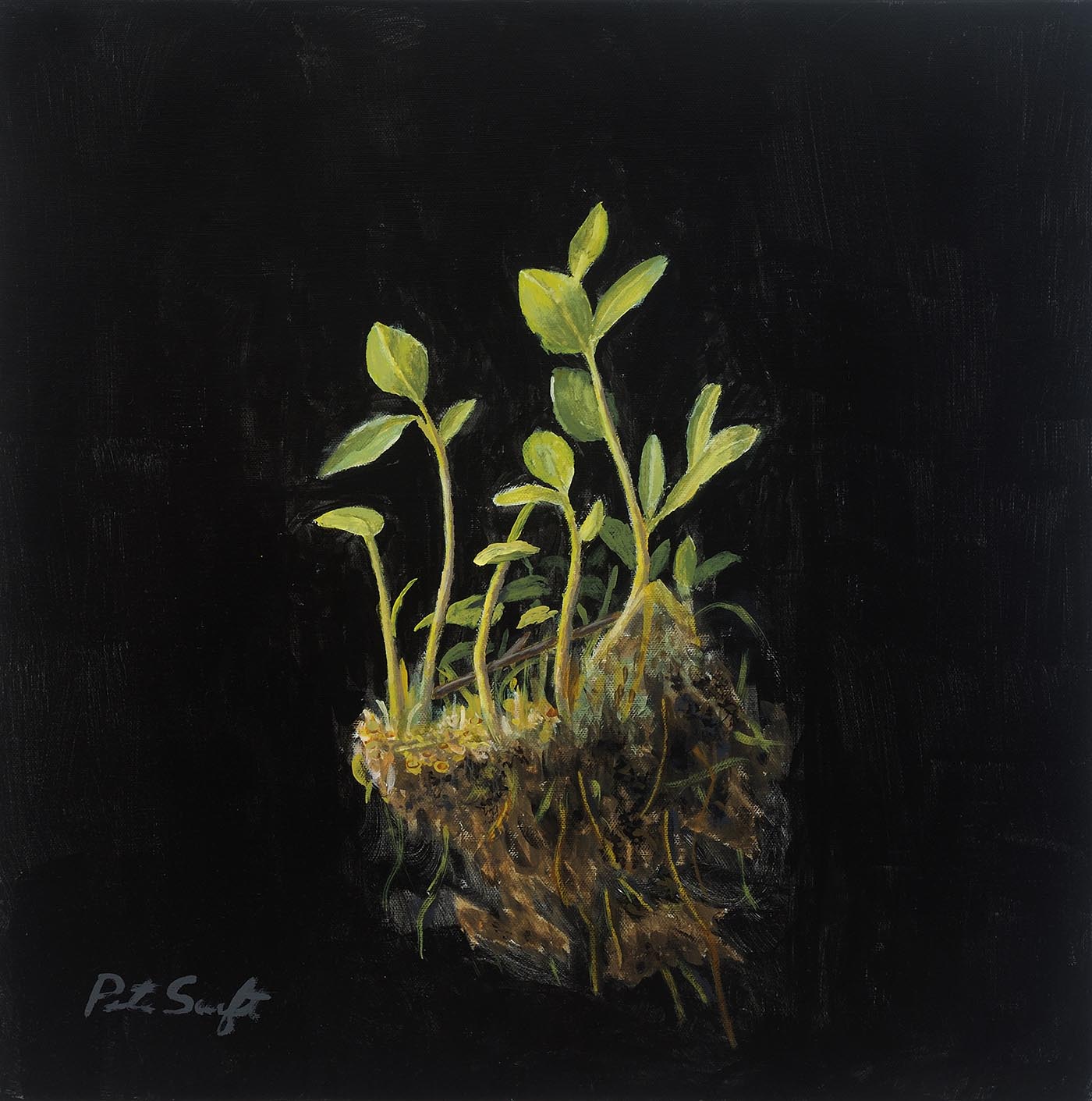 painting of a plant with roots in the middle of canvas; black background