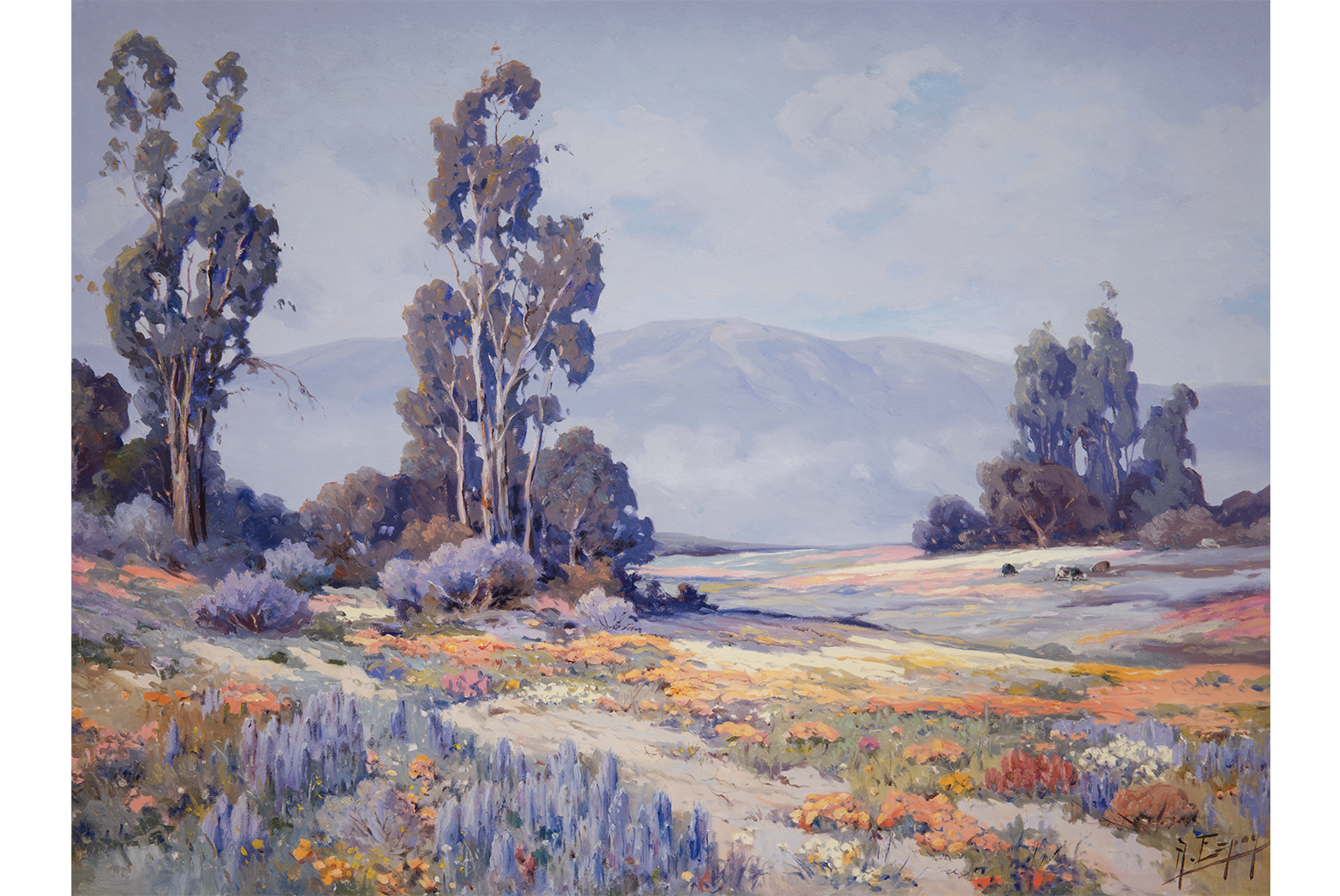 Angel Espoy, Untitled (Poppies, Lupines and Cows), after 1914, Oil on canvas, 30 x 40 in. UCI Jack and Shanaz Langson Institute and Museum of California Art, Gift of The Irvine Museum