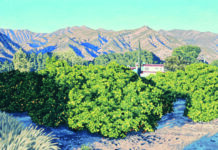 The California Scene “Orange Grove Hacienda, Ojai” by Tyler Abshier, 2022, Oil, 18 x 24 inches