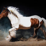 Featured Artwork: Laara Cassells oil painting of a horse galloping