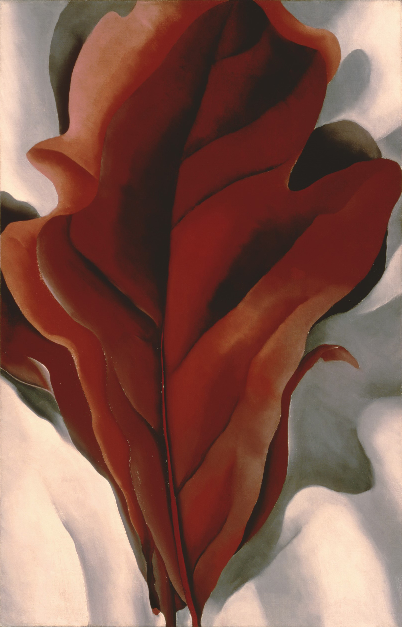 American Artists - Georgia O'Keeffe, Large Dark Red Leaves on White, 1925