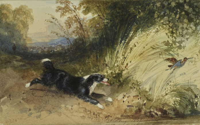 Newton Smith Limbird Fielding, “A Dog chasing a Snipe