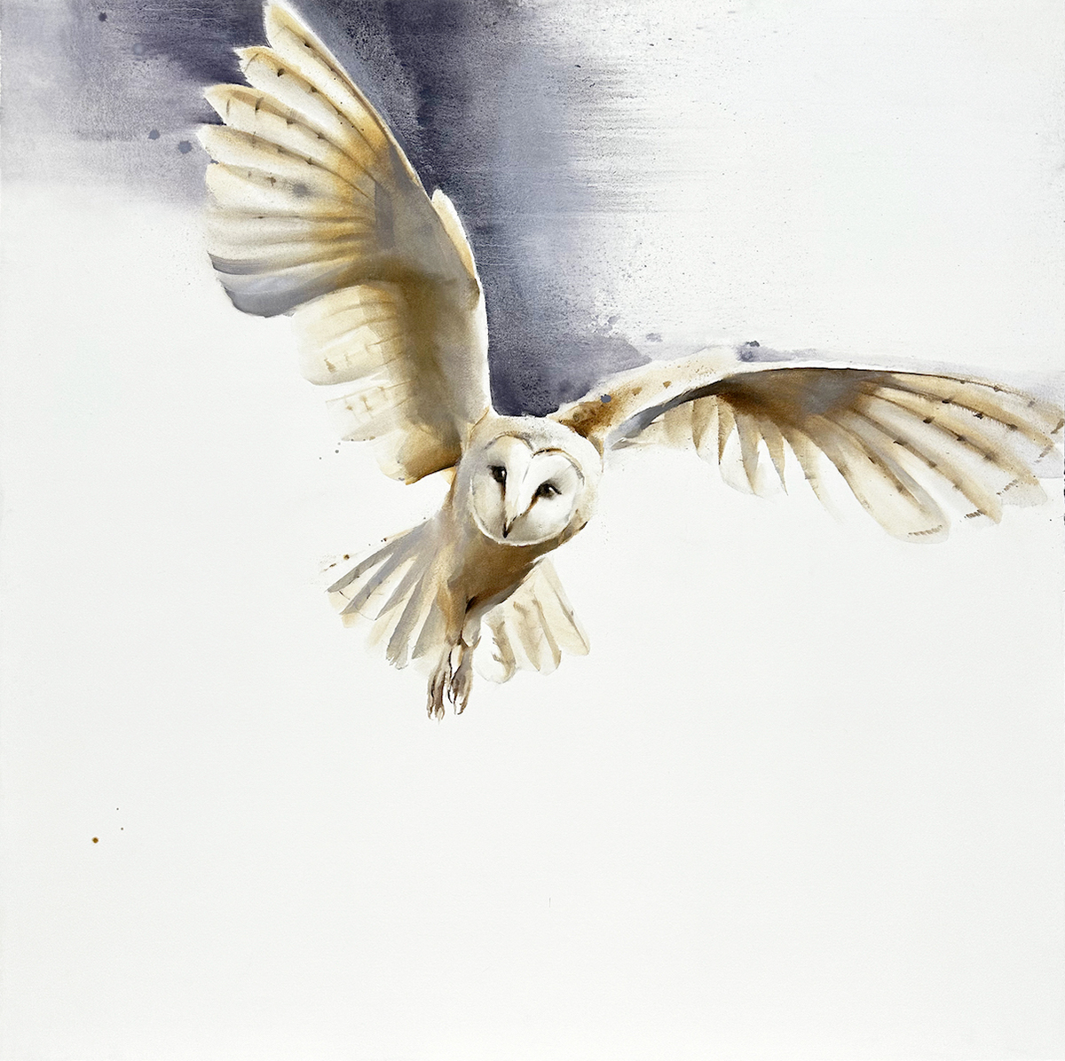 oil painting of white owl flying; white background