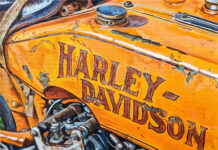 Shan Fannin Solo Exhibition: Move It! Painting by Shan Fannin