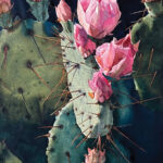 In Scottsdale, the Best and the Brightest Jonathan Shirey (b. 1977), "Desert Dainty," 2022, watercolor on paper panel, 24 x 18 in.