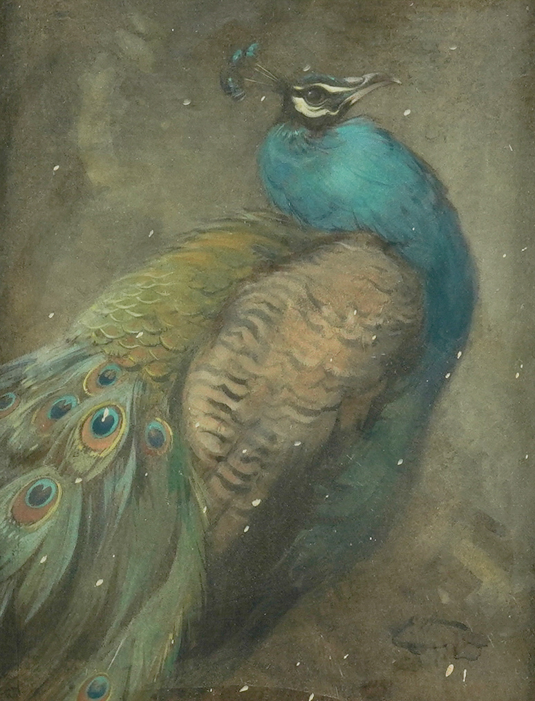 Edwin Alexander (Scottish, 1870-1926), “A peacock,” watercolor, 23.5 x 18.5cm, signed with initials 'E.A.' (lower right); Provenance, Private collection, UK