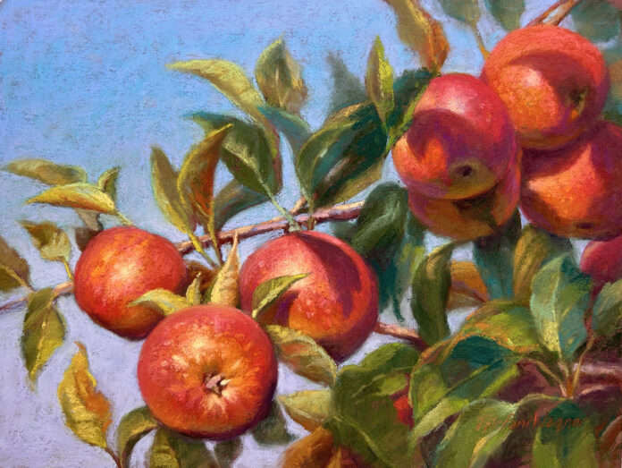 pastel painting of closeup of apple orchard tree