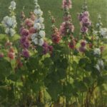 Clyde Aspevig Honored at Governors Art Show Clyde Aspevig, "Hollyhocks," 60 x 48 in.