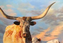 Cowgirl Up! Returns Western Art - MEJO OKON (b. 1953), It Was a Lazy Day, 2022, oil on canvas, 48 x 48 in.