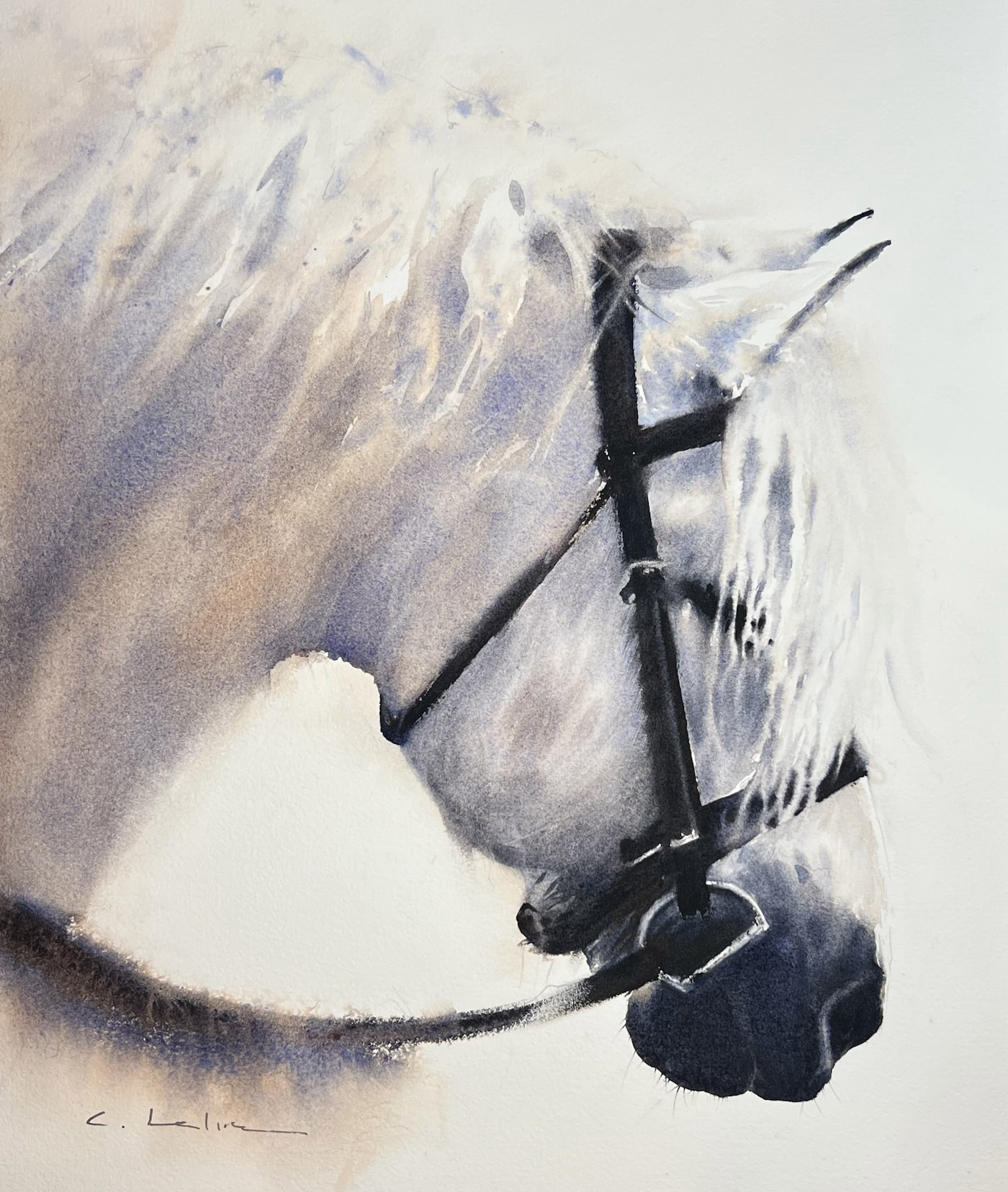 closeup watercolor portrait of a white horse with black reins