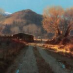 The 52nd Annual Prix de West Prix de West - Brent Cotton (b. 1972), "November Morning," 2024, oil on board, 26 x 40 in.